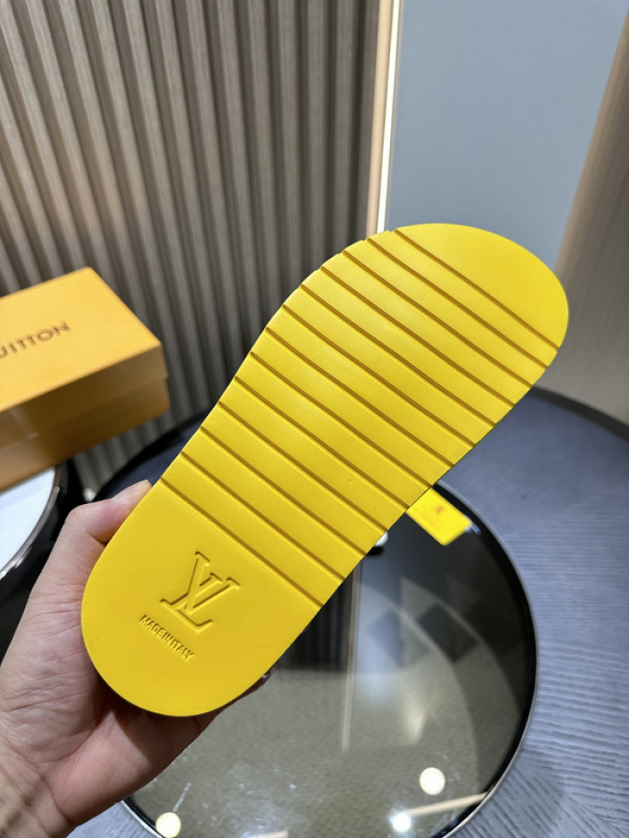 lv slides