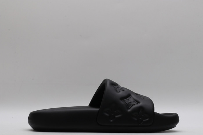 lv slides