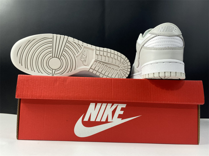 nike dunk low "photon dust" dd1503-103