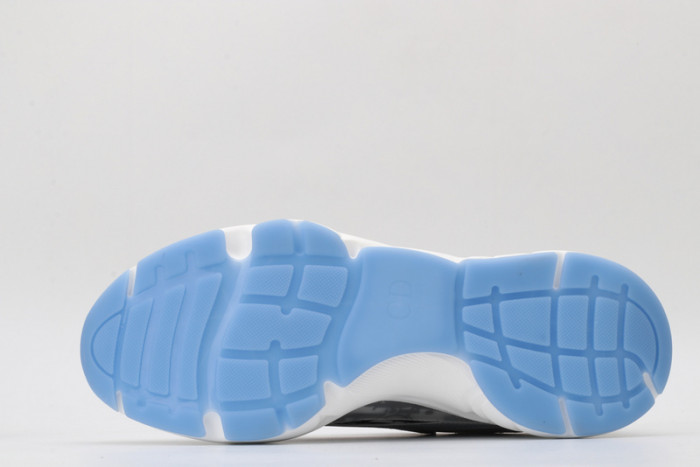 D*or b22 sneakers